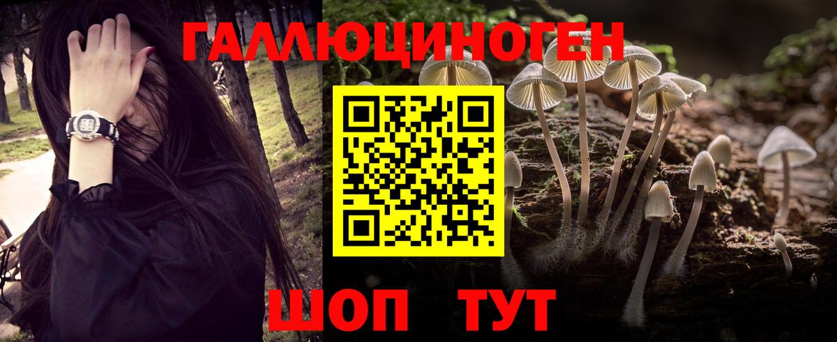 Галлюциногенные грибы Cubensis  Вход с VPN  Карасук 