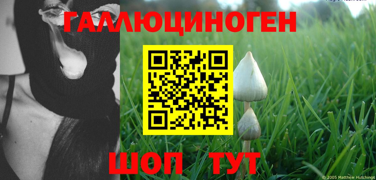 Псилоцибиновые грибы прущие грибы Карасук